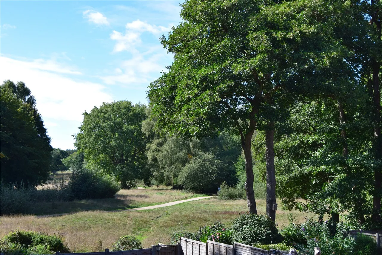 The Copse, Farnborough, Hampshire, GU14 0QD, photo 4