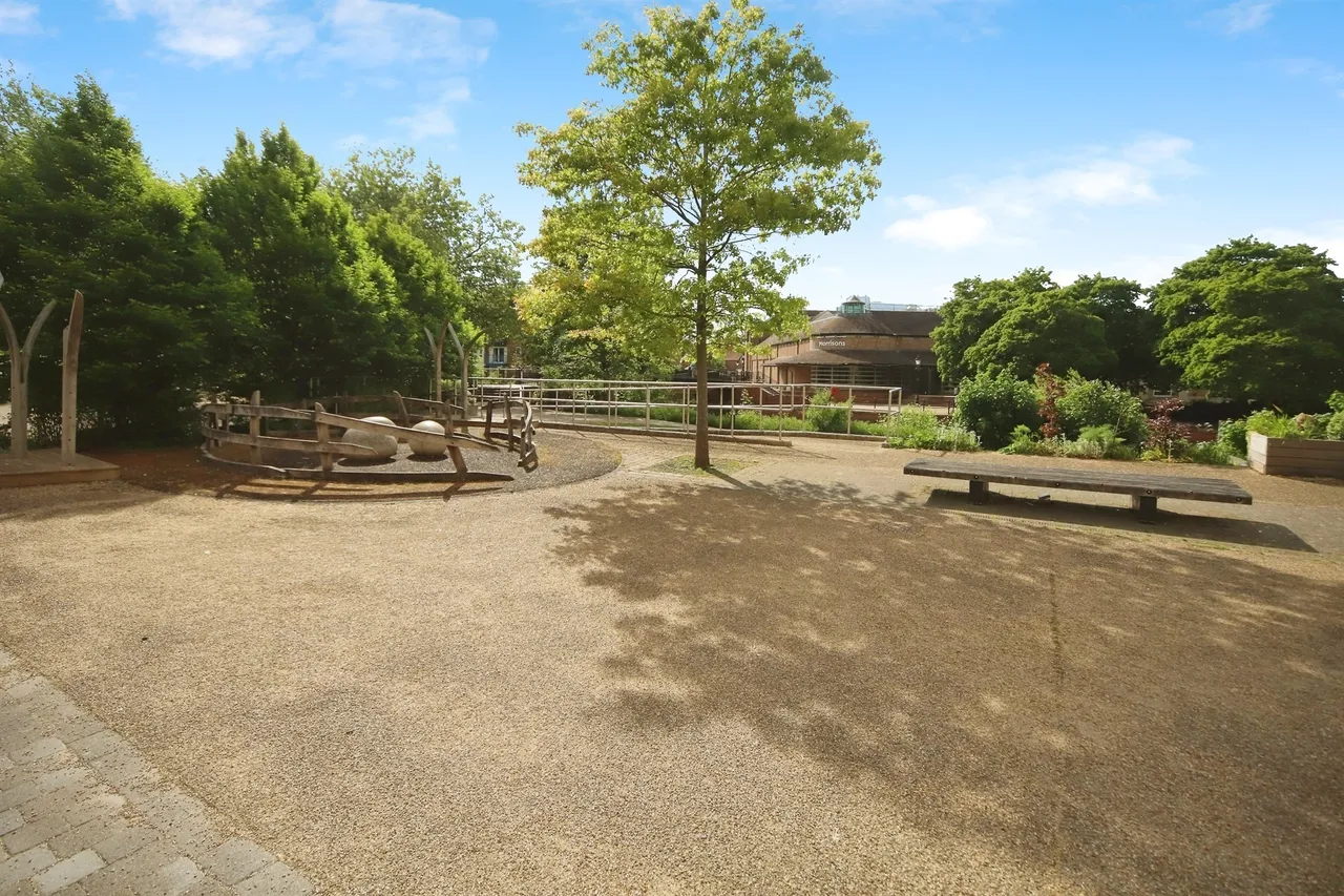 Coal Orchard, Taunton, TA1, photo 15