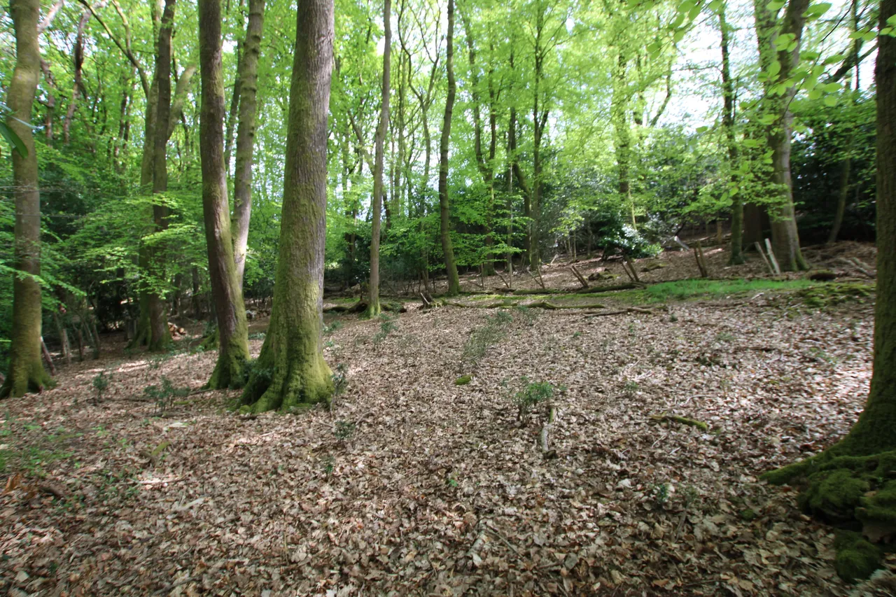 Glen Road, Grayshott, GU26, photo 6