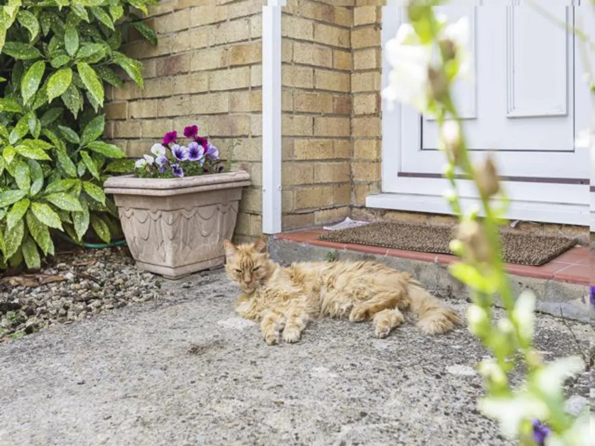 Dashwood Avenue, Yarnton, photo 15