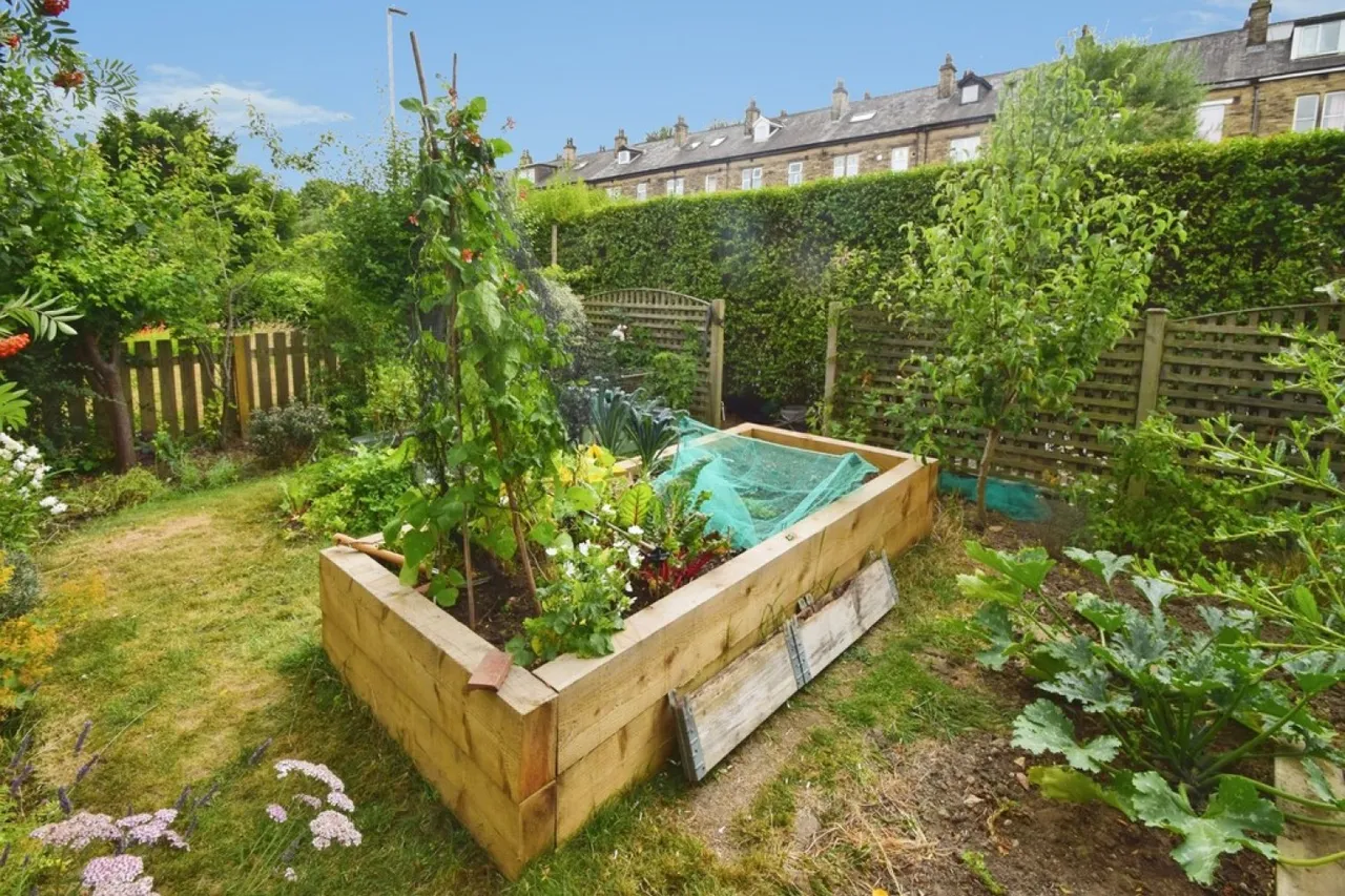 Shipley, Bradford, West Yorkshire, photo 12