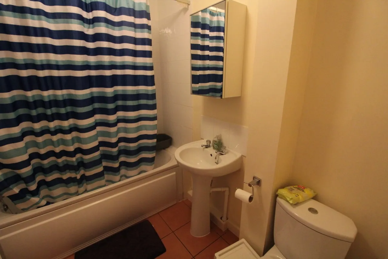 Ringwood Crescent, Wollaton, NG8, photo 6