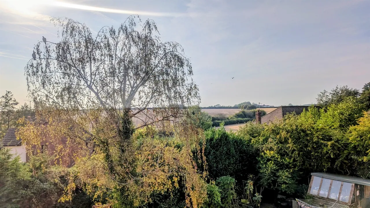 Vesta Close, Coggeshall, CO6, photo 30