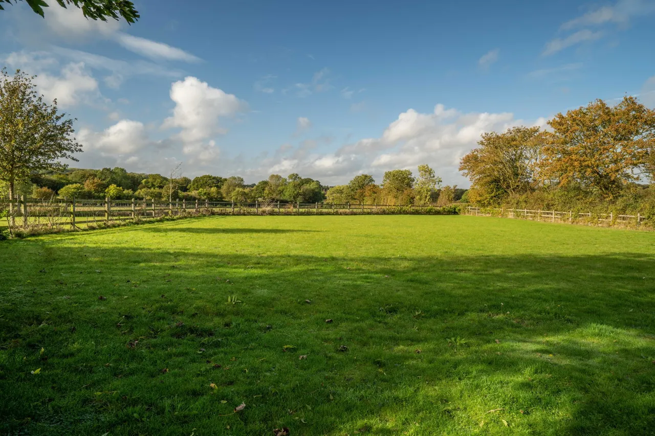 Bolts Hill, Castle Camps, Cambridge, CB21 4TL, photo 7