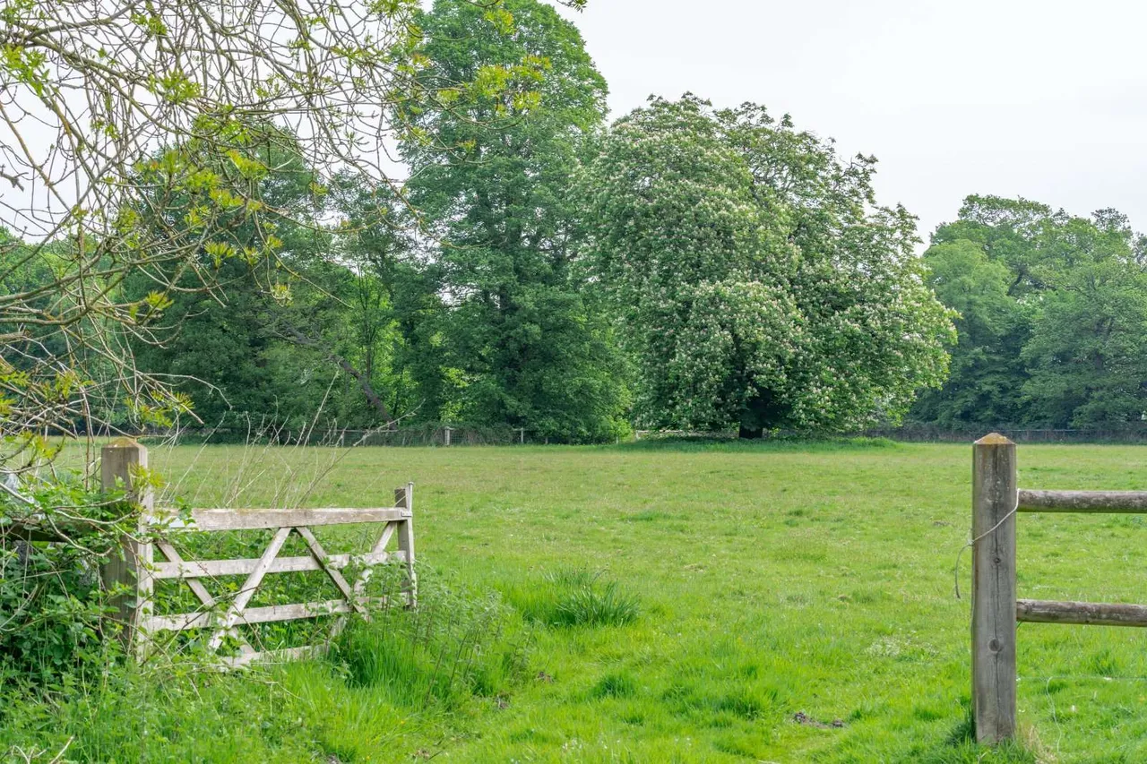 Sandford Lane, Hurst, RG10, photo 34