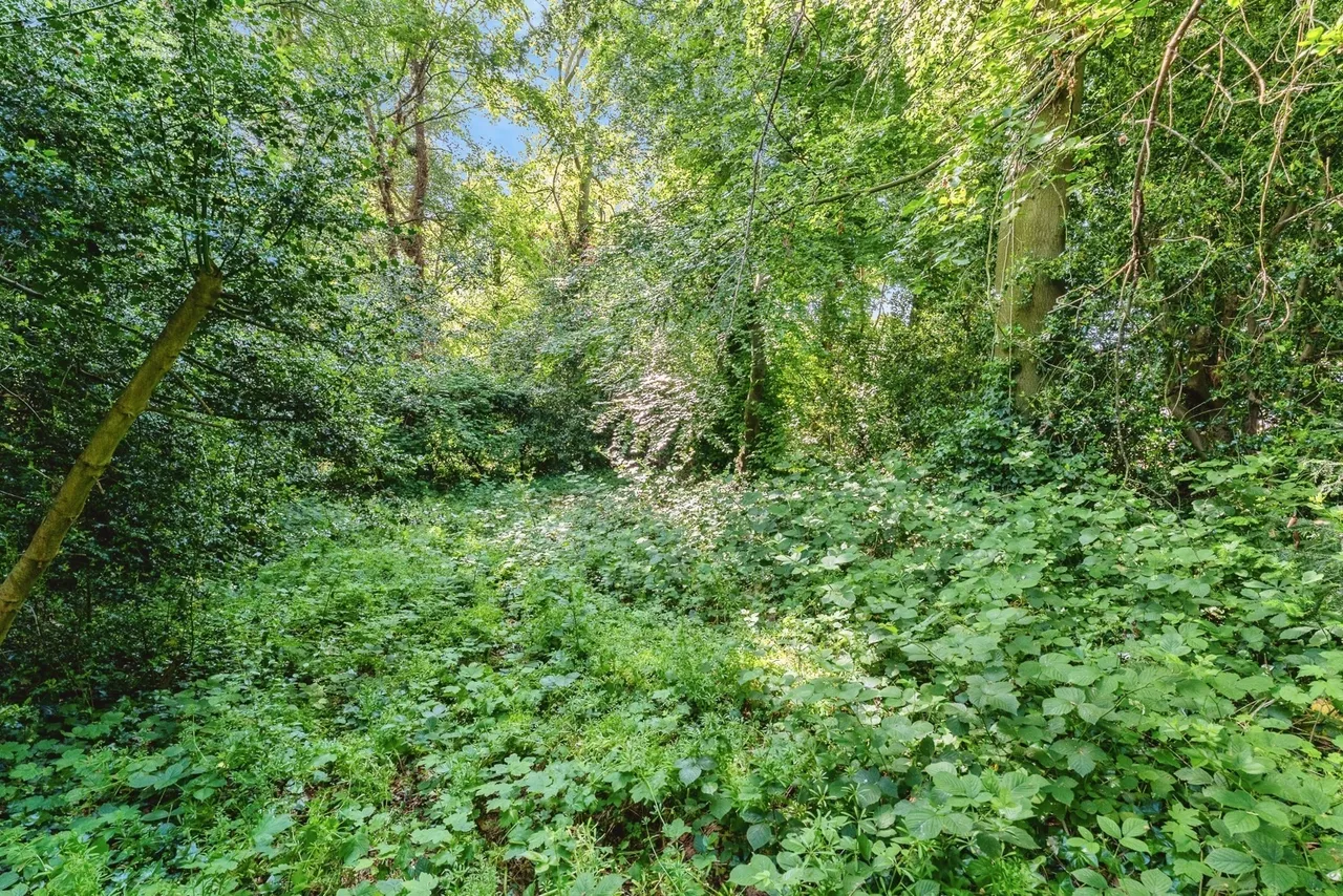 The Park, Chester, CH3, photo 44