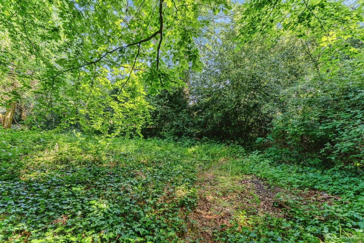 The Park, Chester, CH3, photo 45