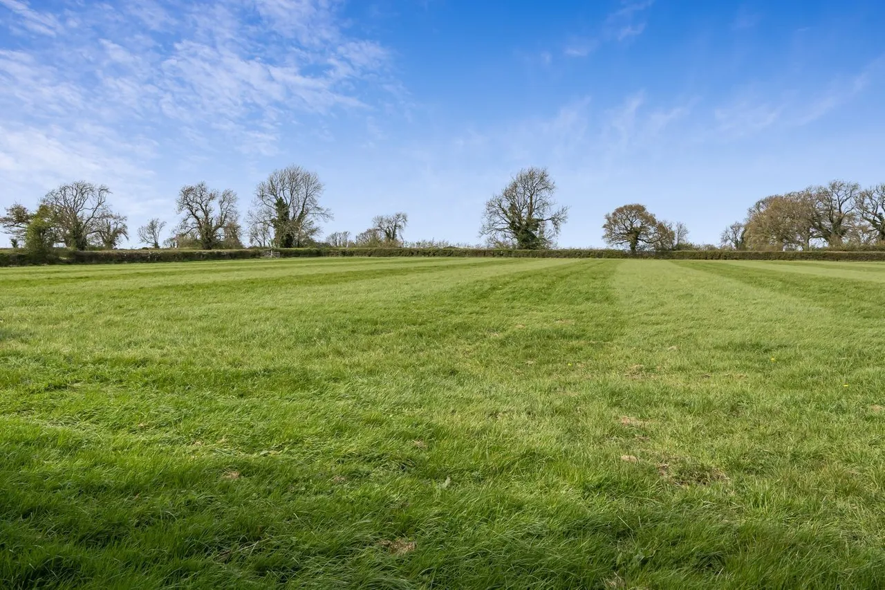 Small holding, 9.93 acres, BA3, photo 11