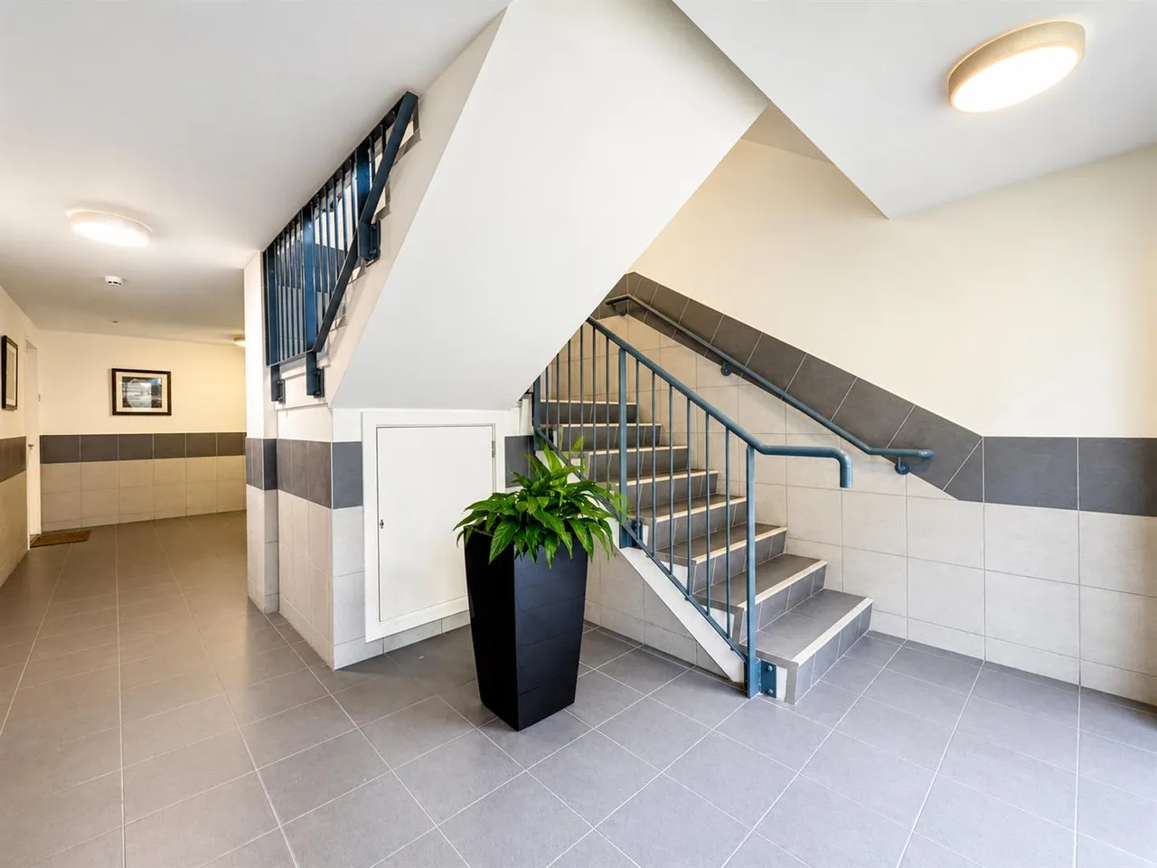 Silvertrees Wynd, Bothwell, G71, photo 13