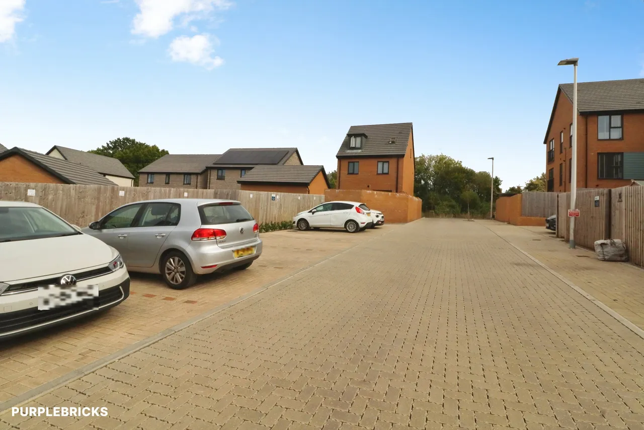 Rhodfa Ieuan, Cardiff, CF5, photo 18