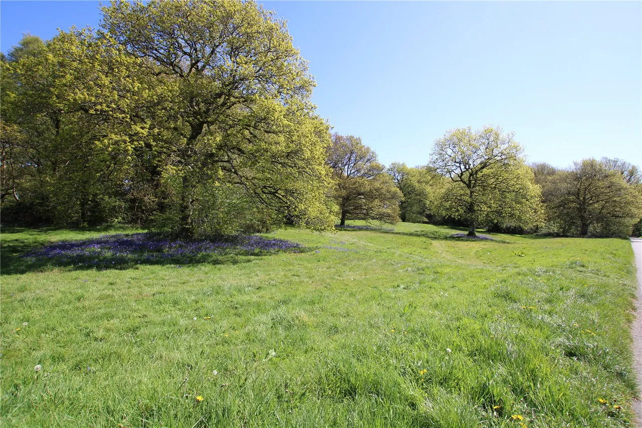 The Green, East Knoyle, Salisbury, SP3 6BN, photo 27