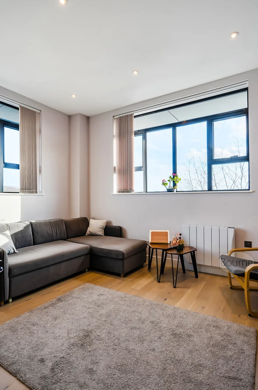 Albert Drive, Woking, GU21, photo 15