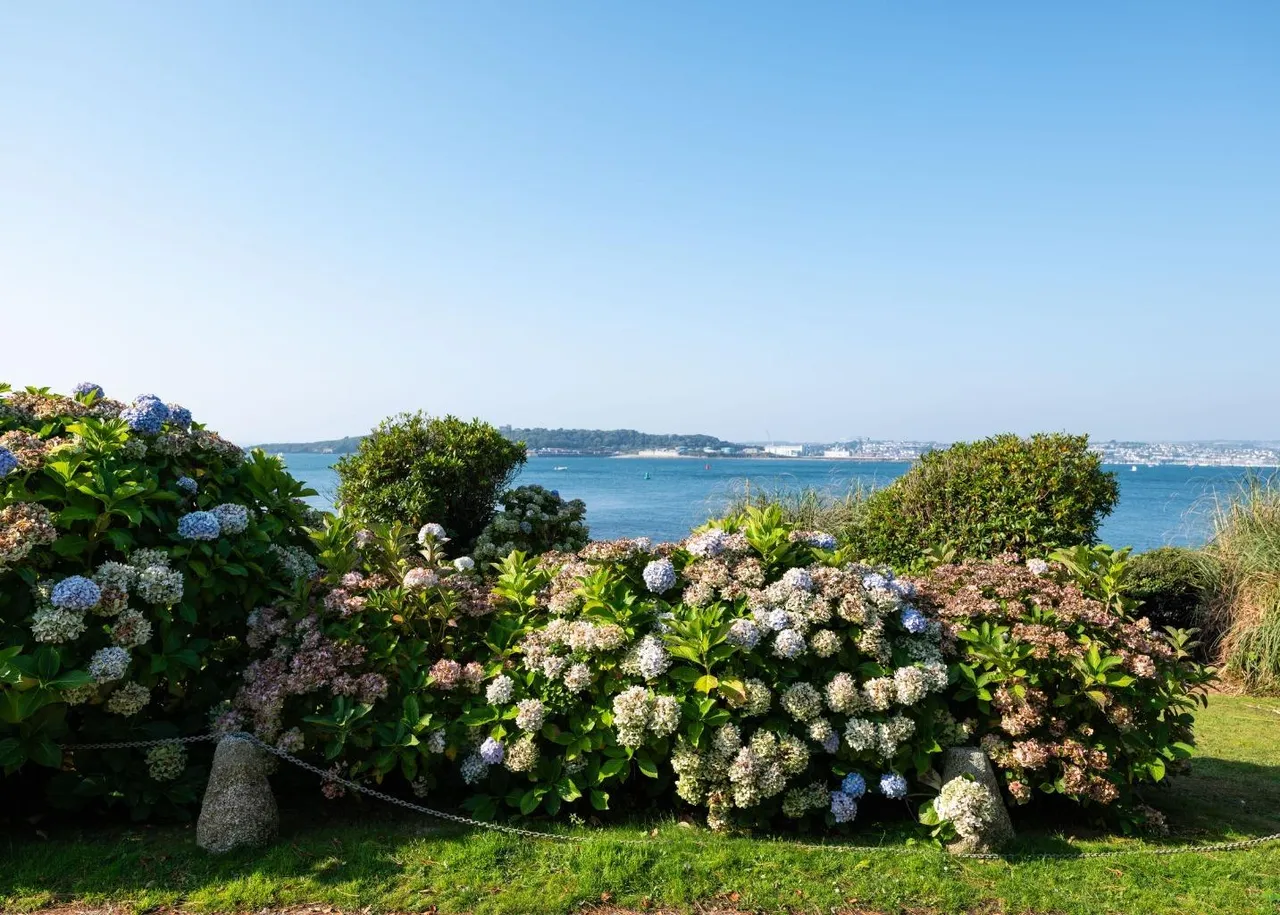 Castle Drive, St Mawes, TR2, photo 31