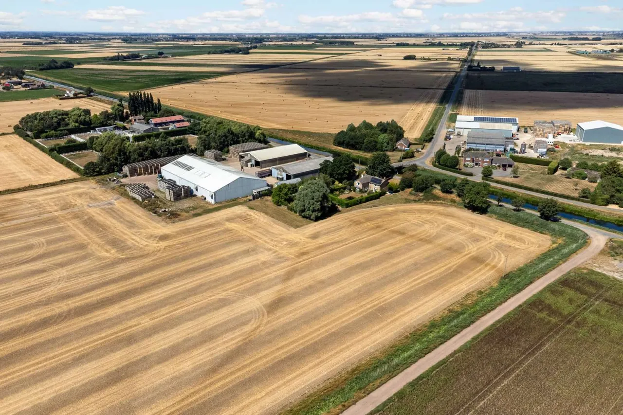 Cock Bank, Whittlesey, PE7, photo 24