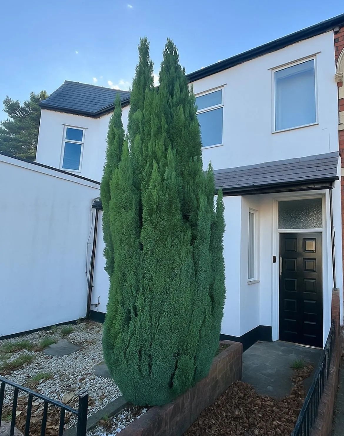 Fields Park Road, Pontcanna, CF11, photo 6