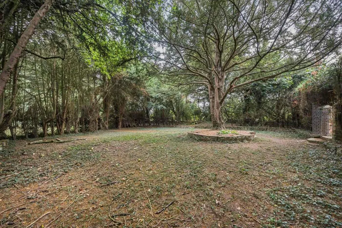 Goring Heath, Reading, RG8, photo 41