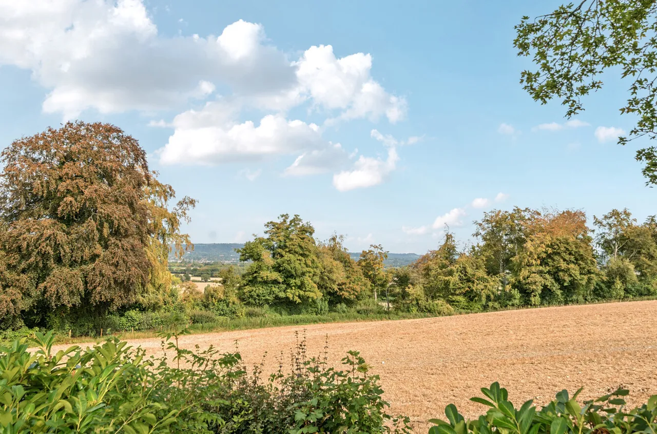 Ditcham, Petersfield, GU31, photo 20