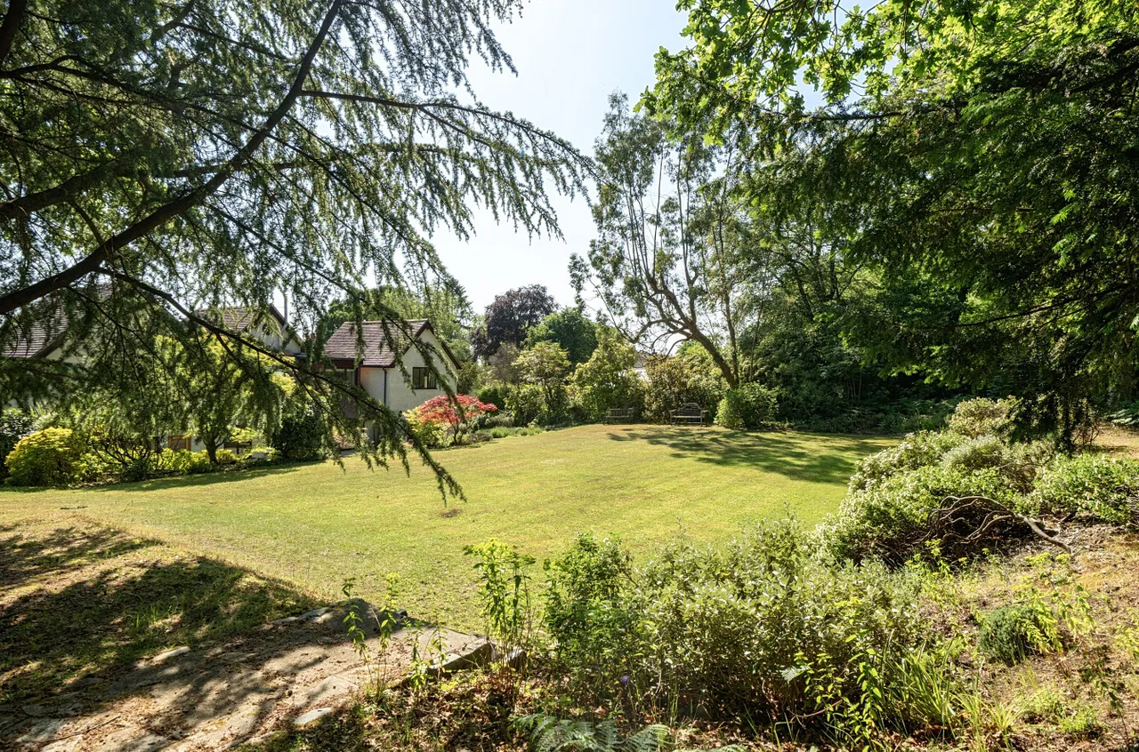Dunwood Hill, East Wellow, SO51, photo 19