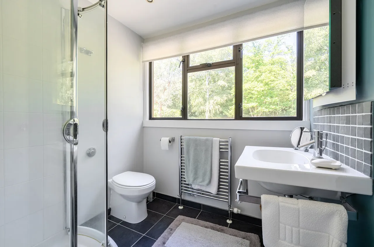 Dunwood Hill, East Wellow, SO51, photo 14