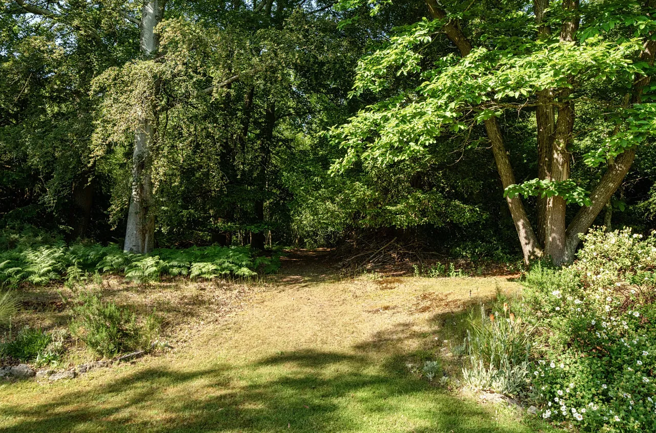 Dunwood Hill, East Wellow, SO51, photo 21