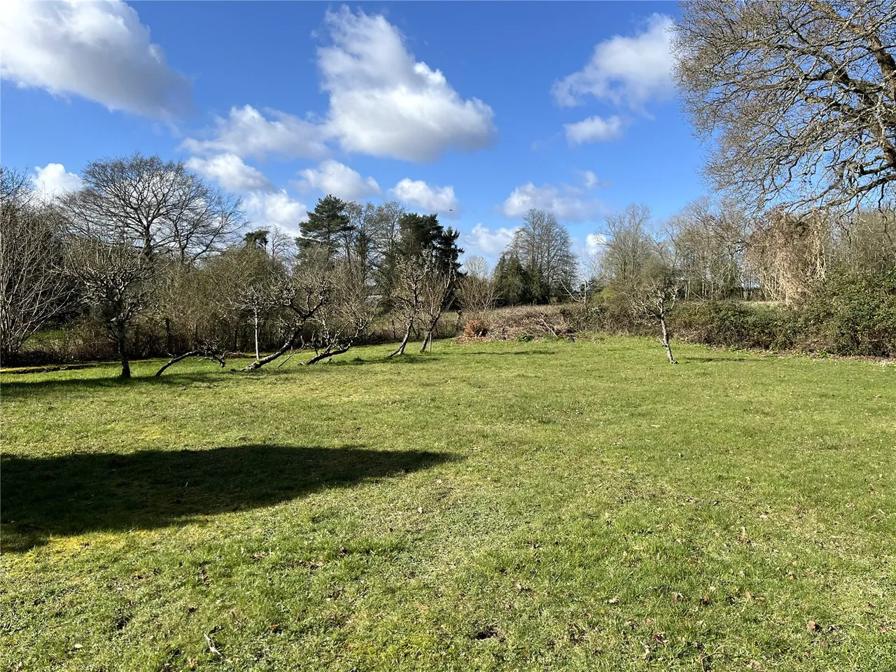 Canada Road, West Wellow, Romsey, Hampshire, SO51 6DE, photo 9
