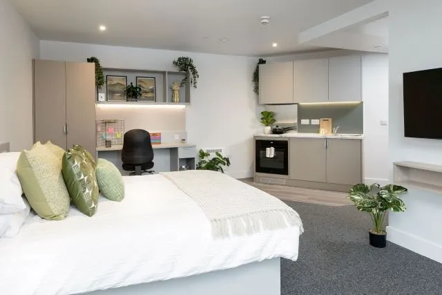 True Sky Superior Studio, True Sheffield, 12 Tenter Street, Sheffield, S1 4XF, photo 7