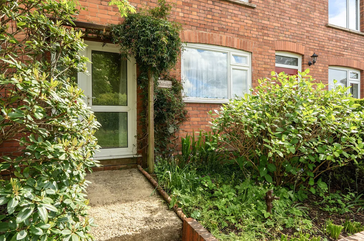 Pyles Thorne, Wellington, TA21, photo 13