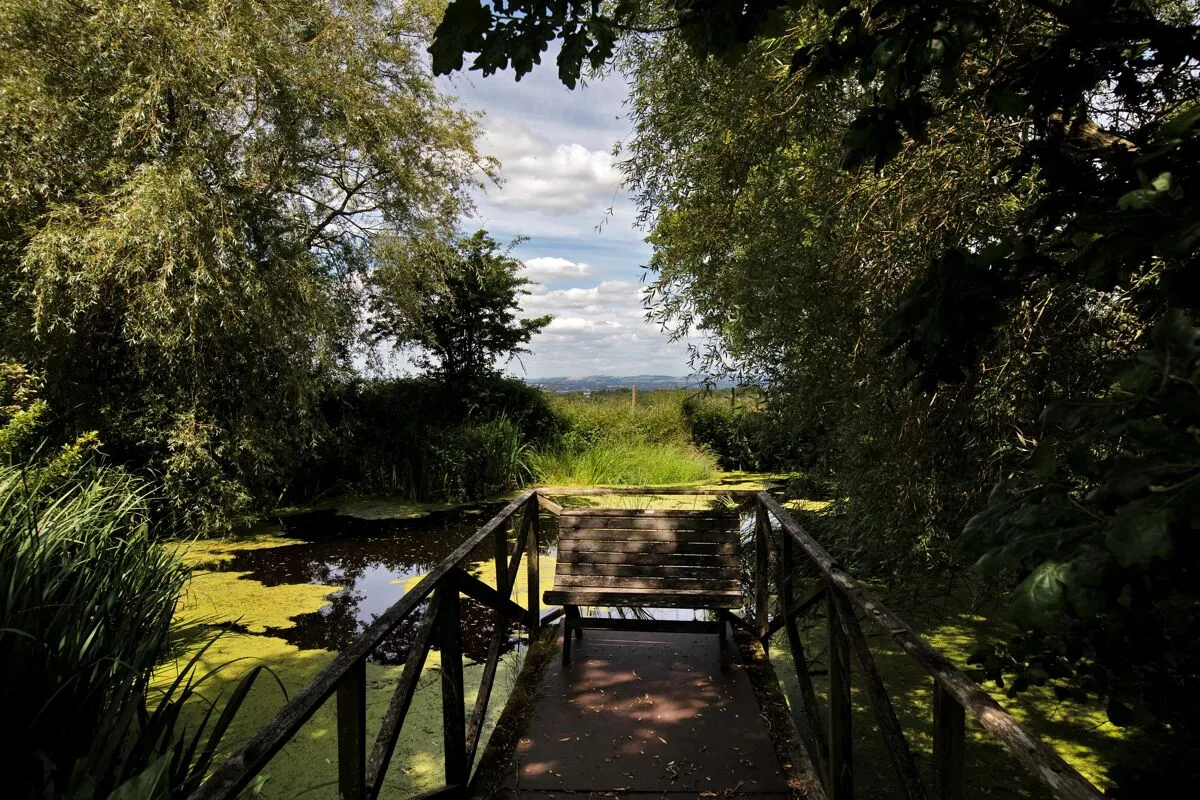 Nr Woodbury, Exeter, EX5, photo 13