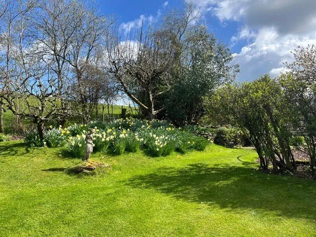 Elworthy, Lydeard St Lawrence, TA4, photo 49