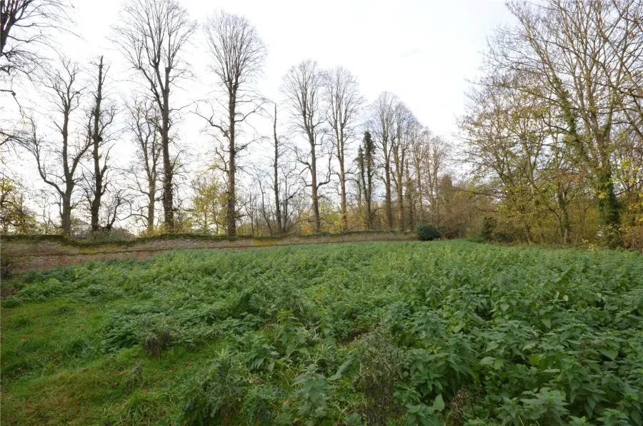 House Under Offer with 3 bedrooms in Abbey Lane, Saffron Walden, CB10, photo 6