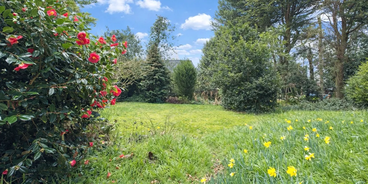 Dawstone Road, Heswall, CH60, photo 5