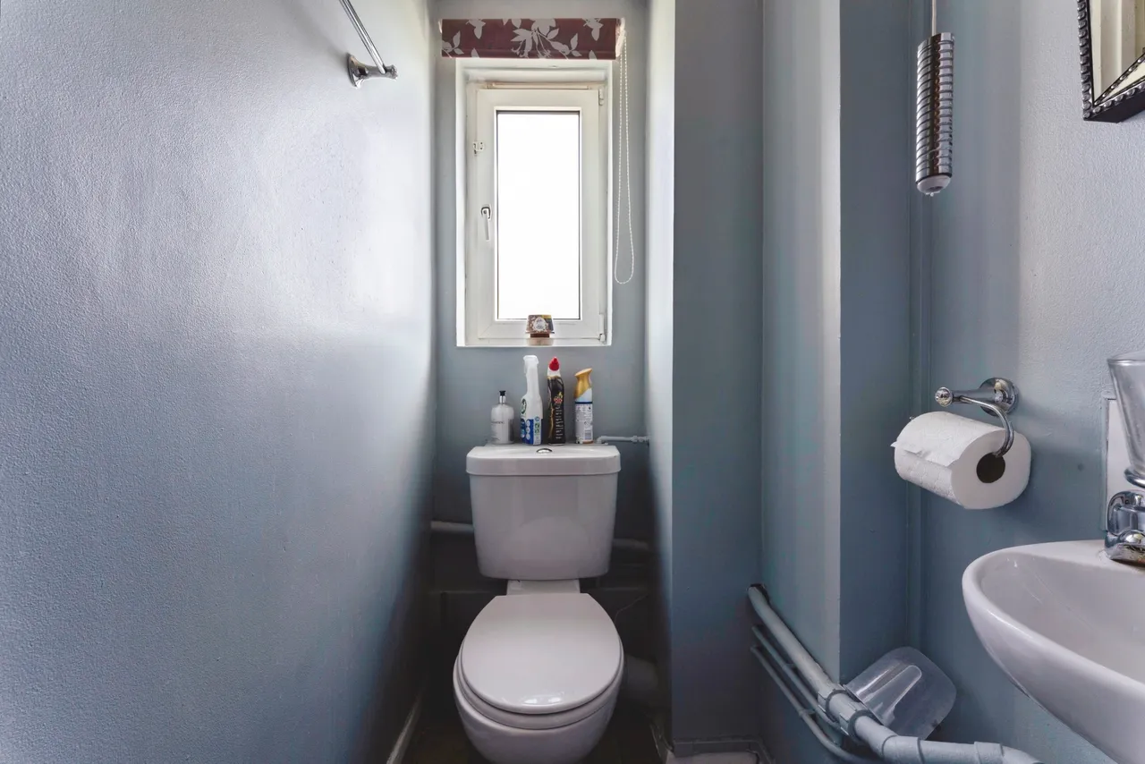 Eastbourne Road, London, E6, photo 15