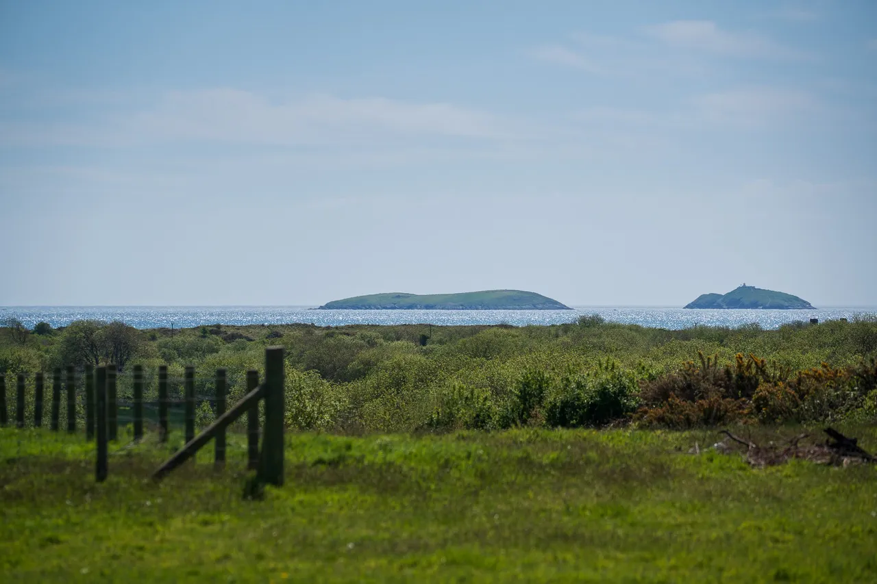 Lleiniau Hirion & Orchard Cottage, Penrhos, Pwllheli, Gwynedd, LL53 7NF, photo 6