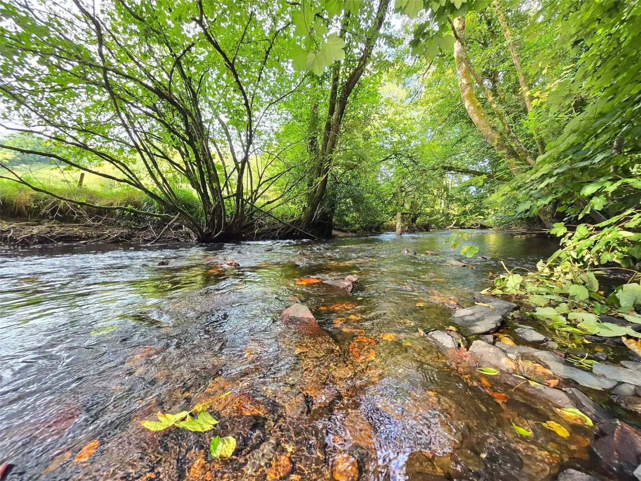 Beals Mill, Callington, photo 2