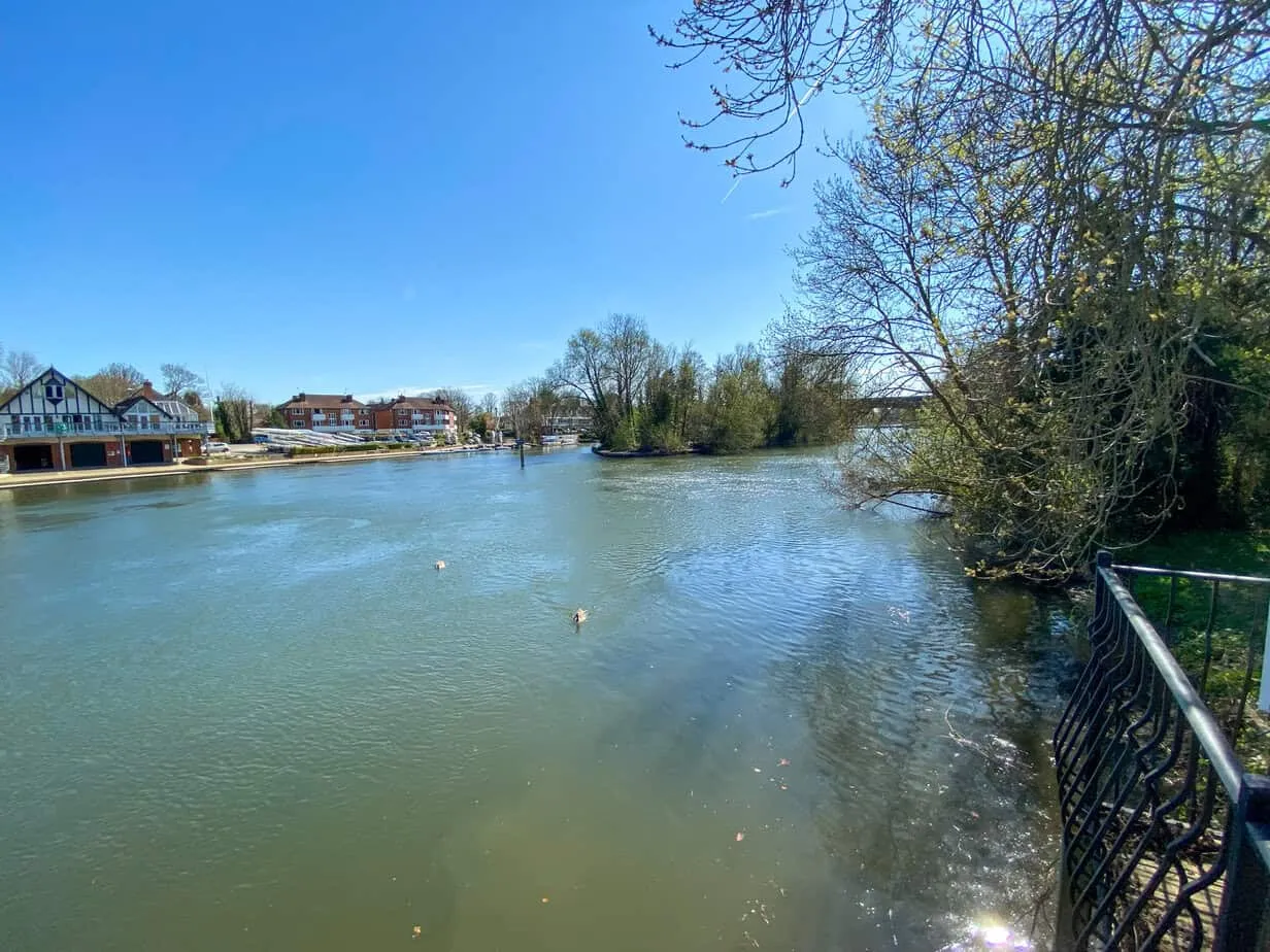 Guards Club Road, Maidenhead, SL6, photo 18