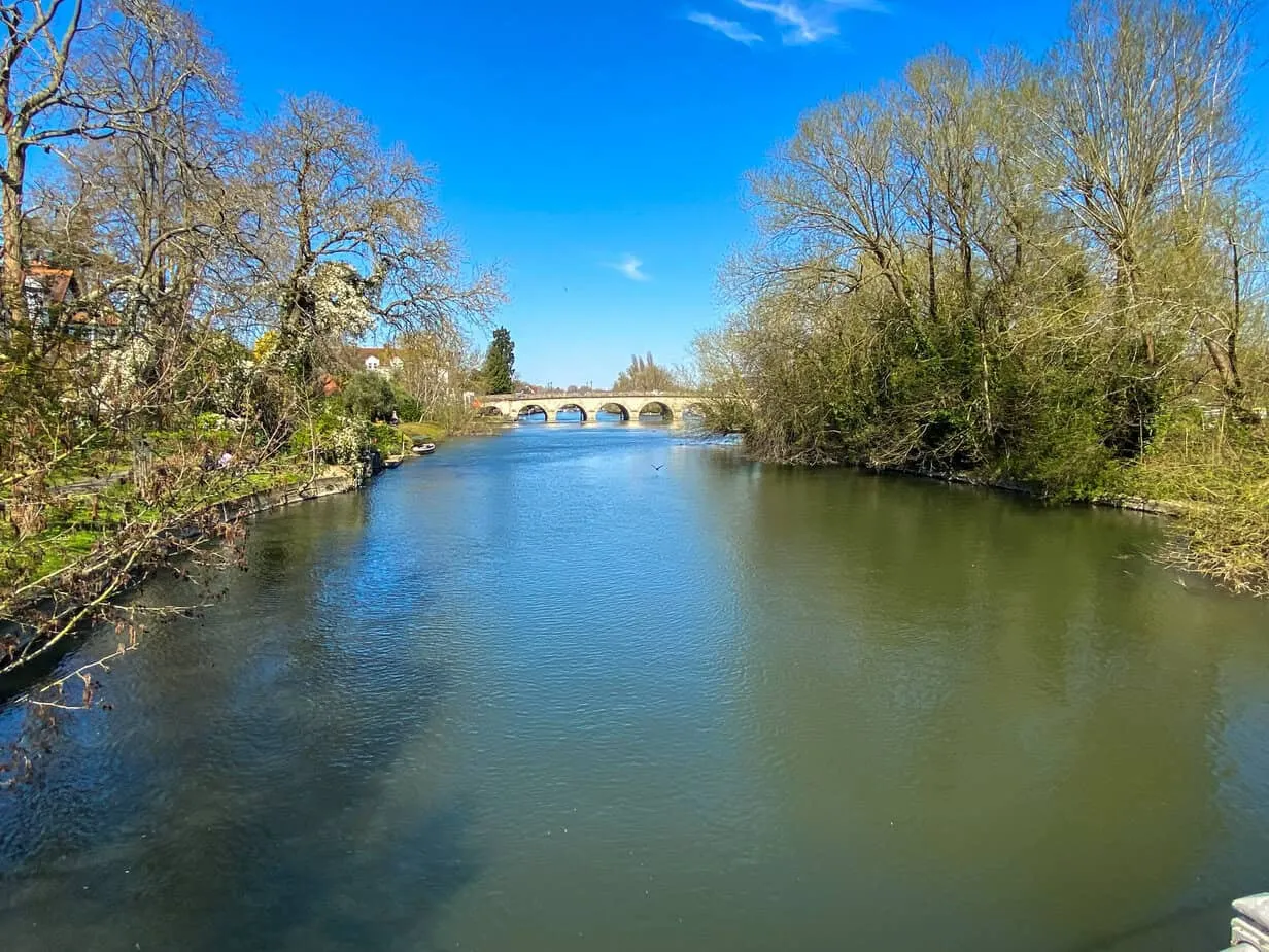 Guards Club Road, Maidenhead, SL6, photo 23