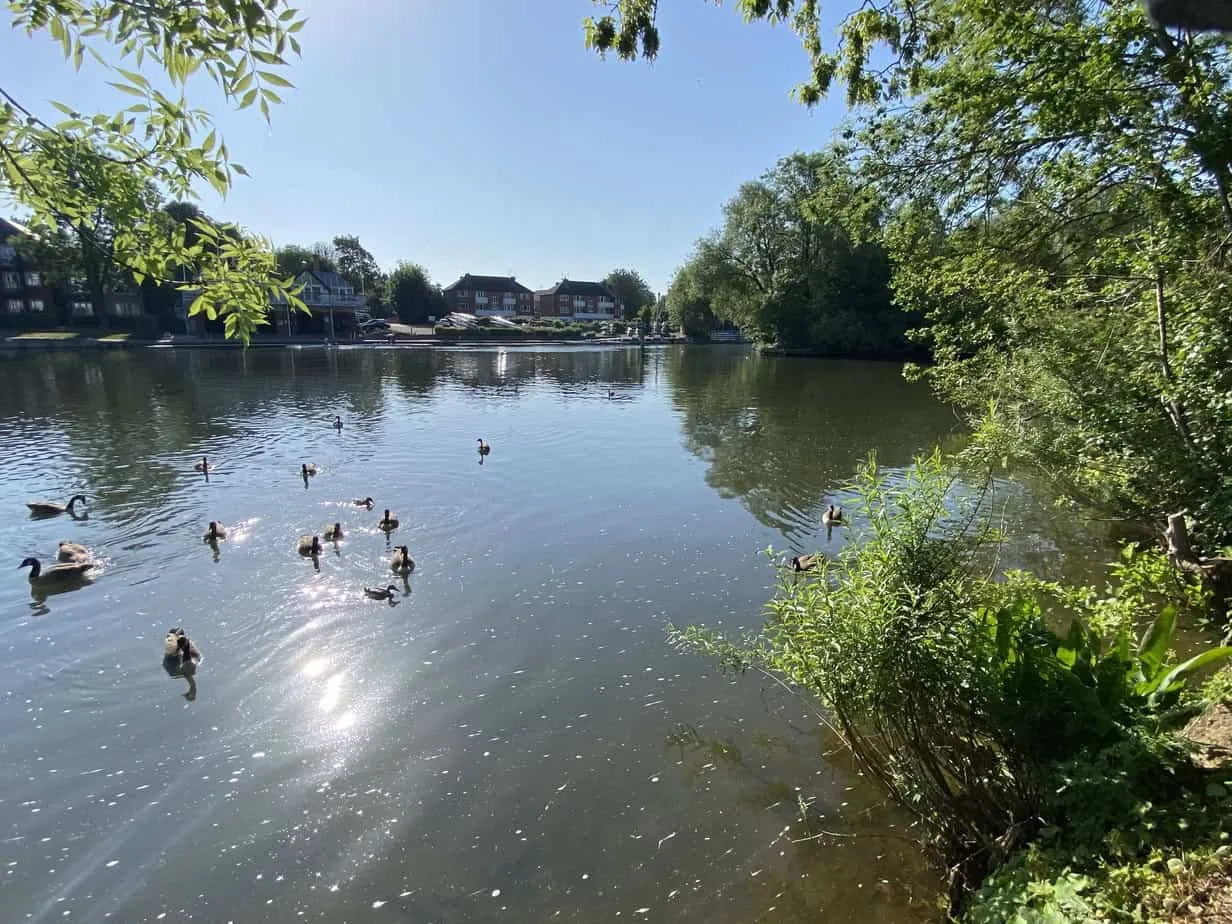 Guards Club Road, Maidenhead, SL6, photo 27