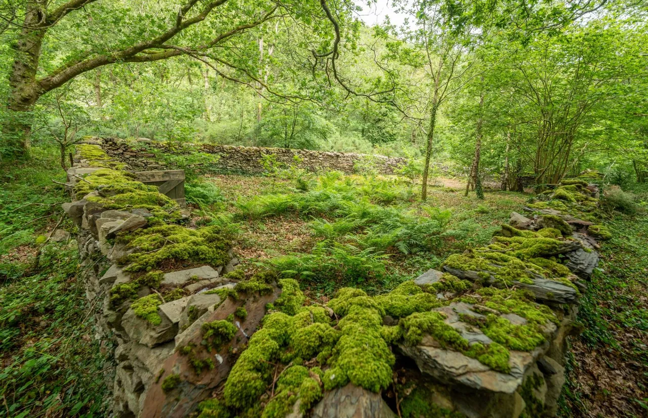 Tyn y Coed Farm, Barmouth, LL42, photo 54