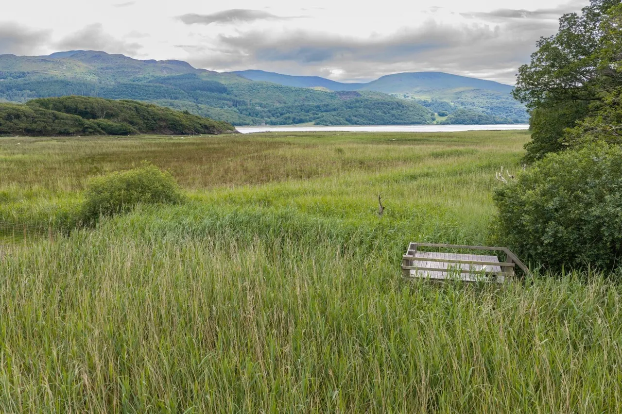 Tyn y Coed Farm, Barmouth, LL42, photo 46