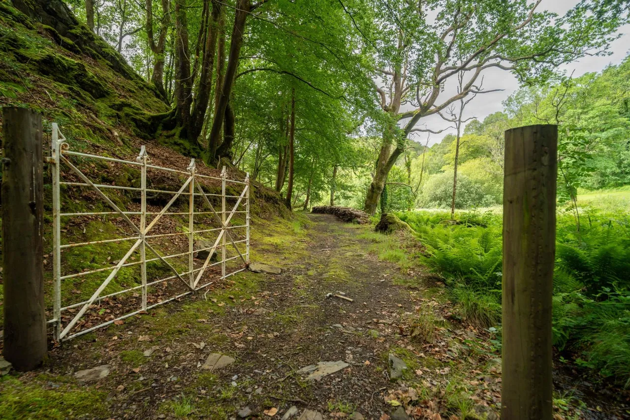 Tyn y Coed Farm, Barmouth, LL42, photo 55