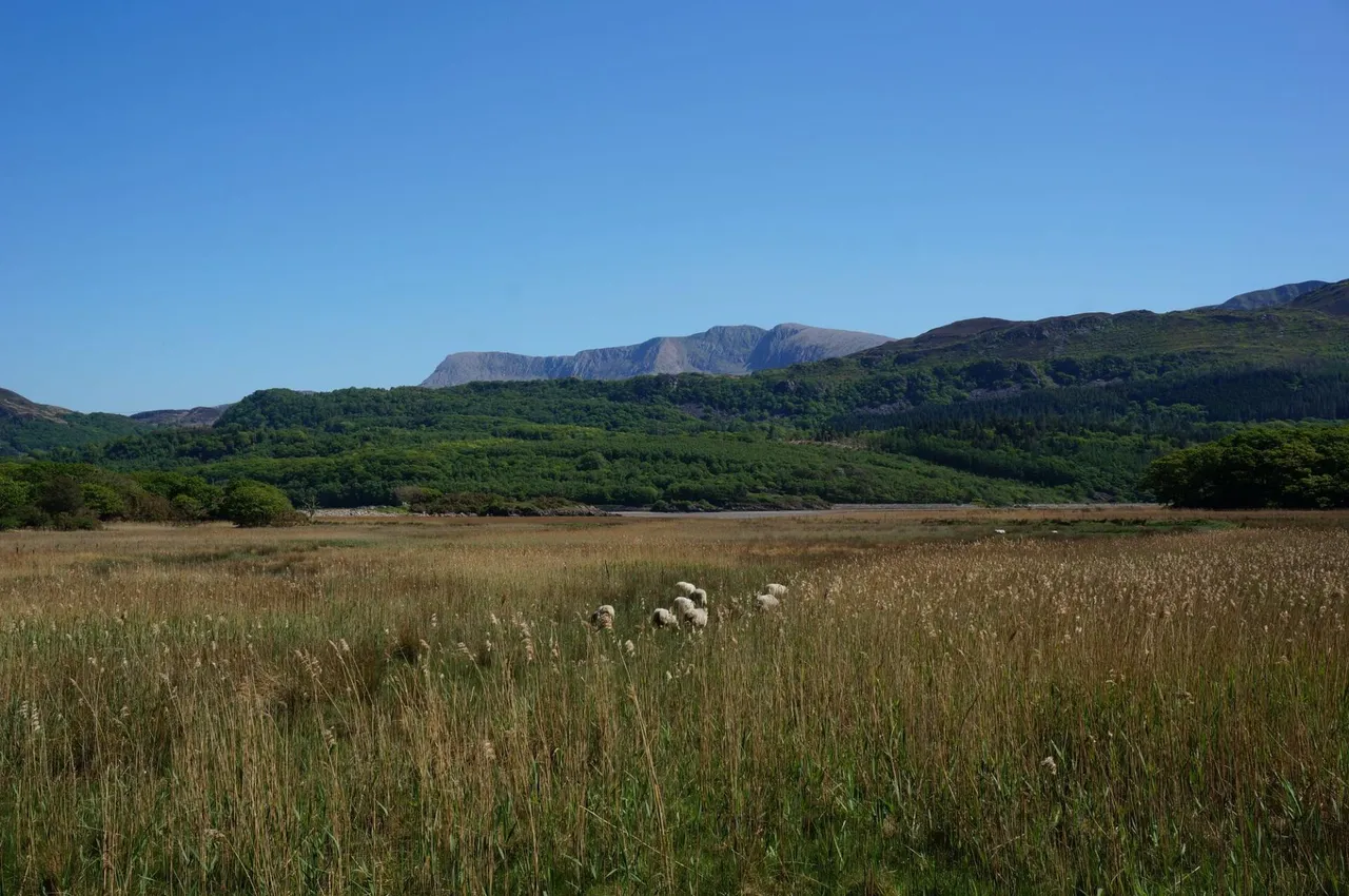 Tyn y Coed Farm, Barmouth, LL42, photo 60