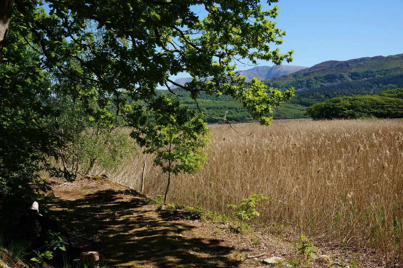 Tyn y Coed Farm, Barmouth, LL42, photo 62