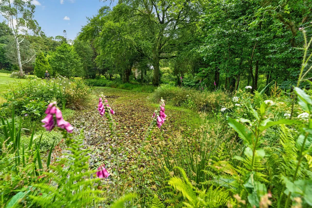 Tyn y Coed Farm, Barmouth, LL42, photo 47