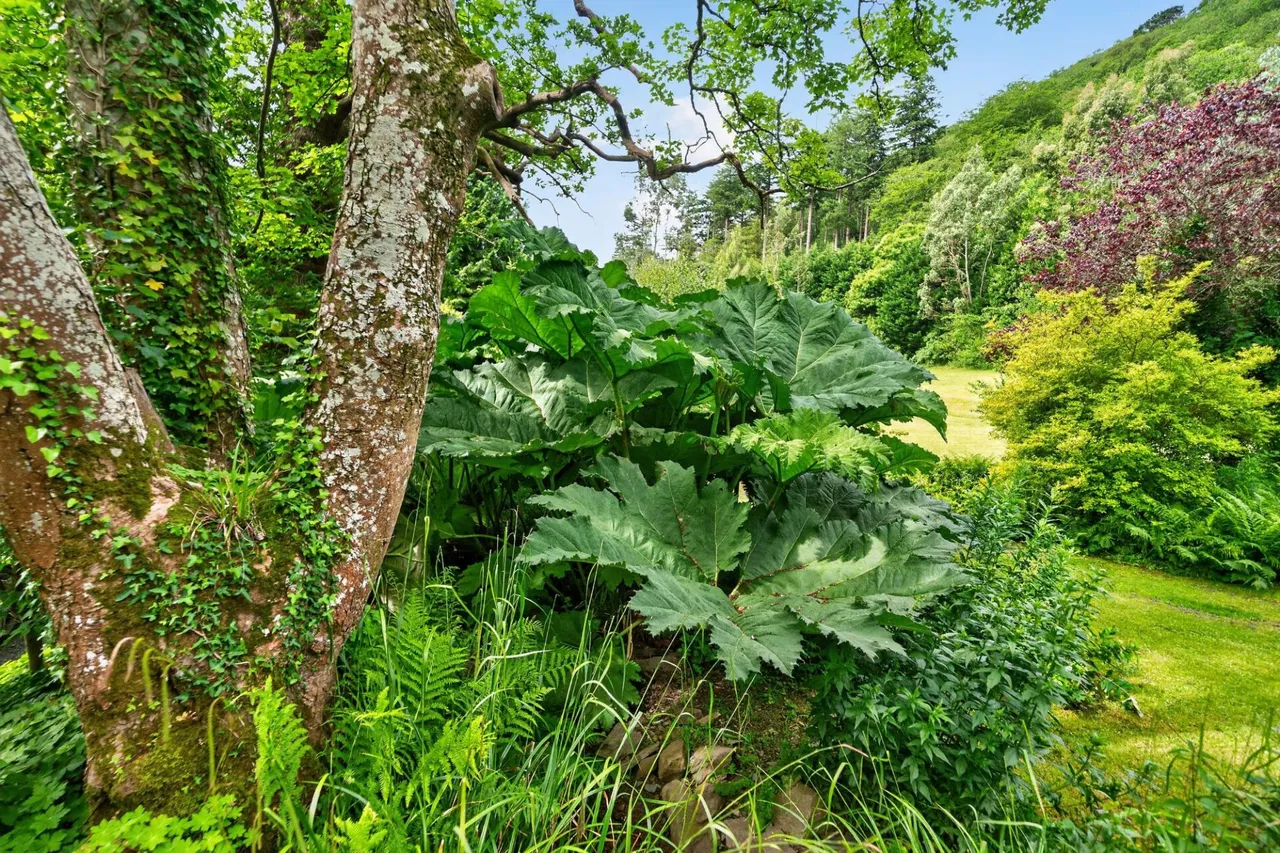 Tyn y Coed Farm, Barmouth, LL42, photo 48