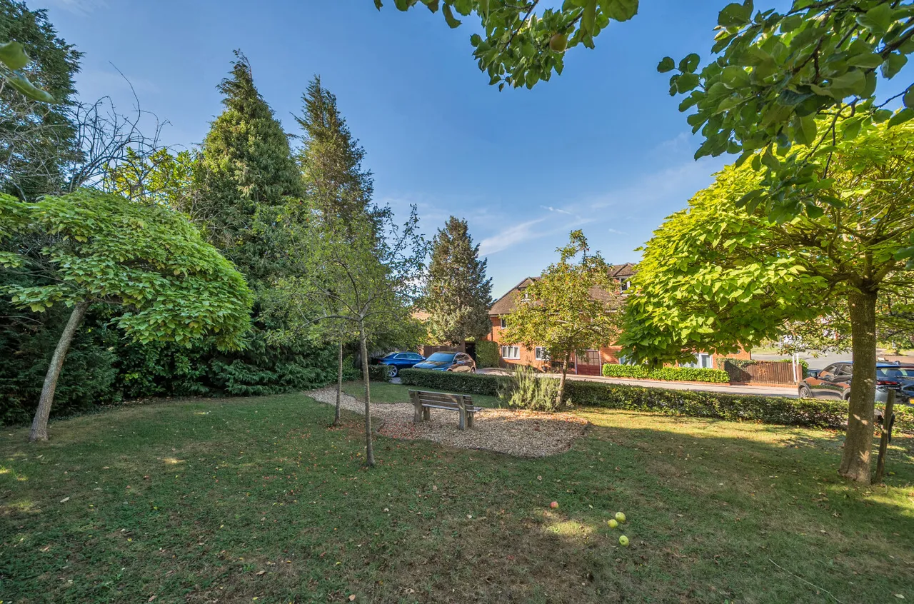 Greenfields Avenue, Alton, GU34, photo 9