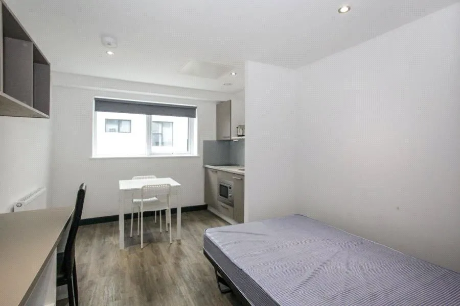 Unit 339, Spring Place Student Halls, 4 Dumfries Street, Luton, LU1, photo 3