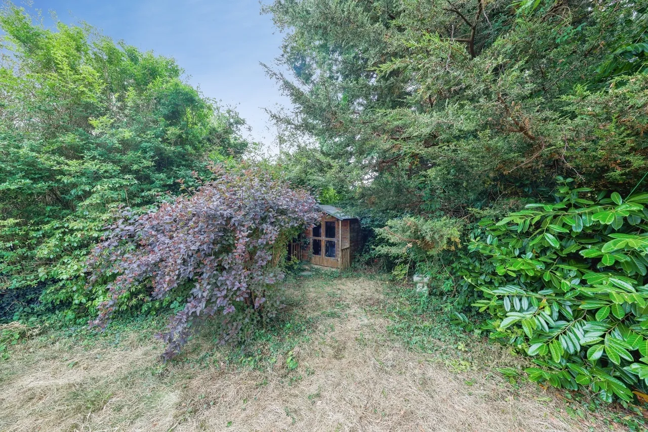 Steele Avenue, Carmarthen, SA31, photo 20