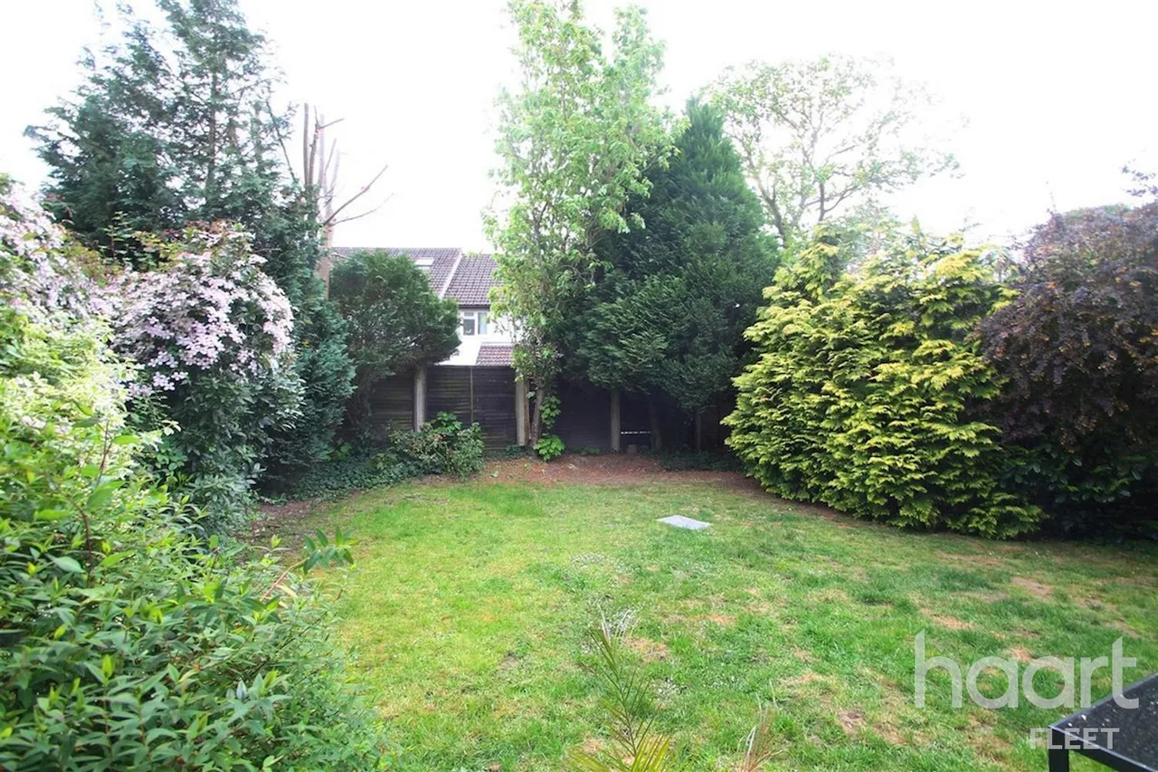 Haig Lane, GU52, photo 3