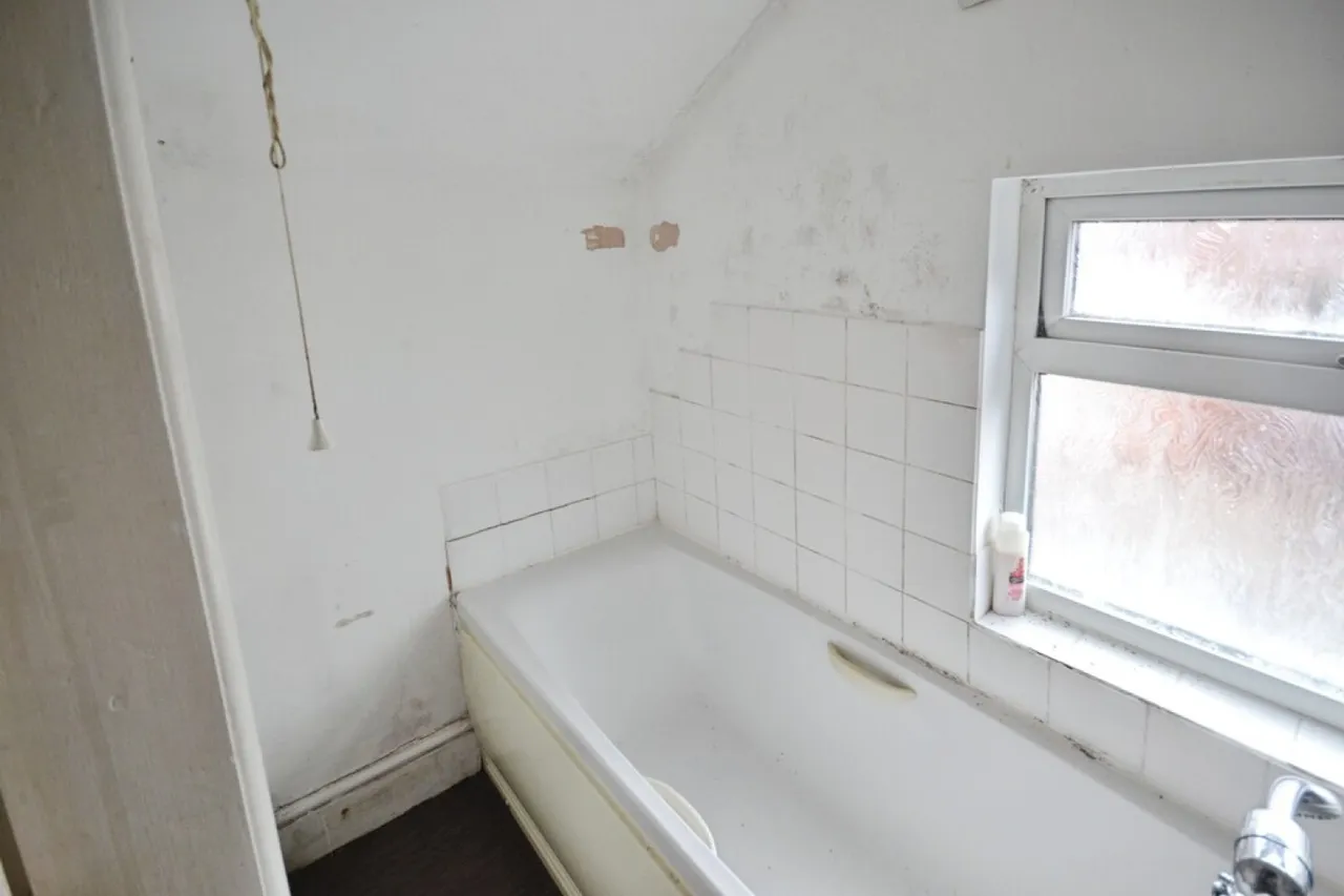 Wilberforce Road, Leicester, LE3, photo 27