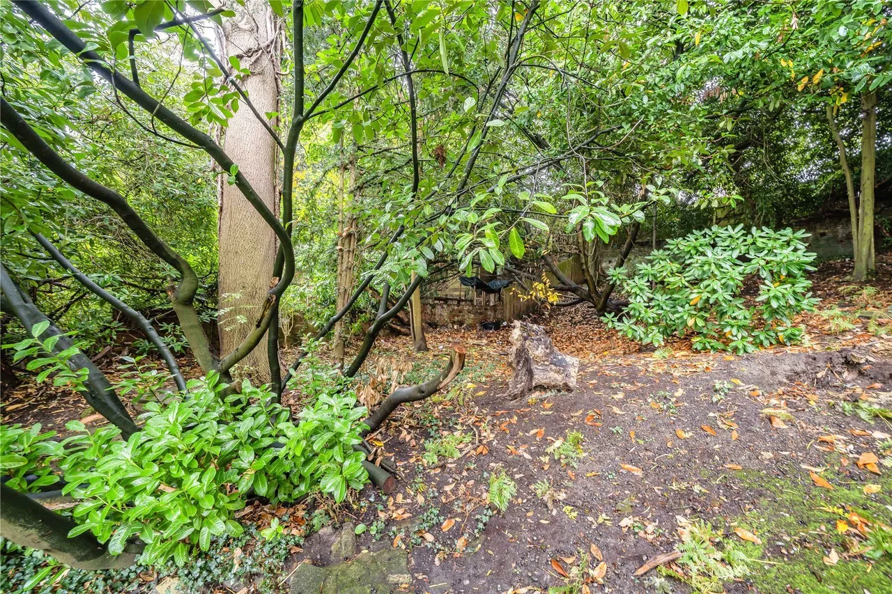 South Hill, Chislehurst, BR7, photo 26